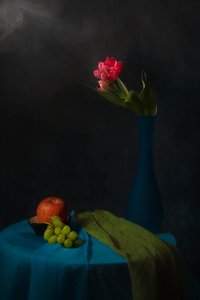 Moody Tulip Still Life