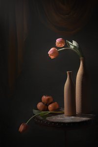 Moody Tulips and Fruit