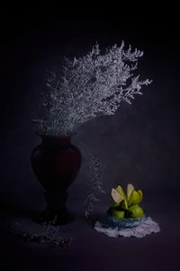 Moody Vase With Limes