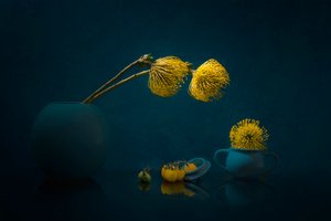 Moody Yellow Flowers