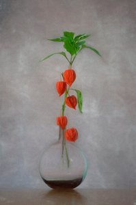 Orange Lanterns Vase by Lydia Jacobs