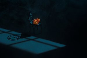 Orange Pods Still Life