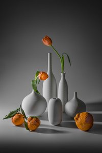 Orange Tulips And Tangerines