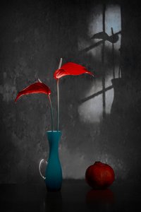 Red Anthuriums Blue Vase