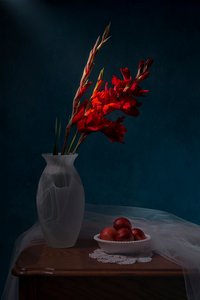 Red Gladiolus Still Life
