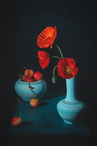 Red Poppies Cherries Still Life