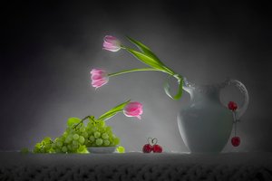 Romantic Tulips Fruit Still Life