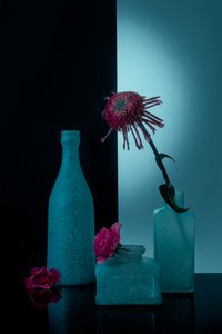 Teal Bottles with Blooms