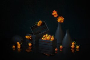 Vibrant Harvest Still Life