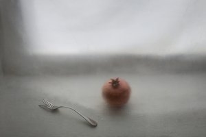 Soft Pomegranate Still Life by Lysenko Elena