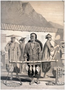 Fishmongers, Victoria Street, Hong Kong, China by M and N Hanhart