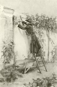 Abbe Constantin