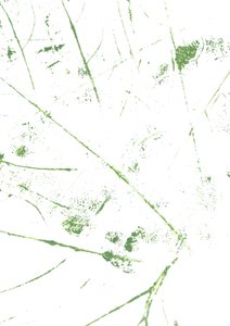 Abstract Green Lines