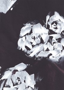 Abstract White Floral by Maira Ribena