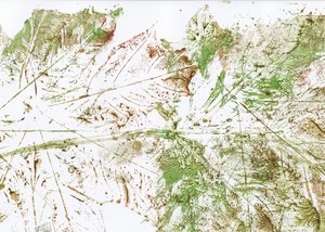 Abstract Leaf