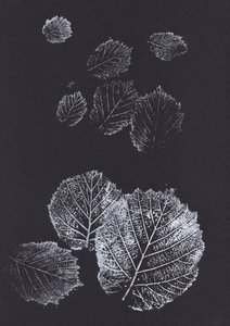 Botanical Leaf Prints
