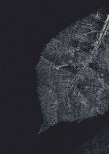 Dark Leaf Veins by Maira Ribena