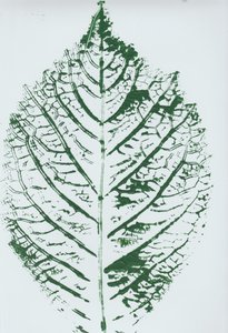 Detailed Green Leaf Print by Maira Ribena