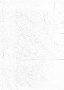 Embossed Floral Lace Pattern