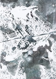 Ethereal Winter Foliage