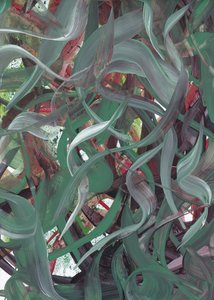 Flowing Green Abstract