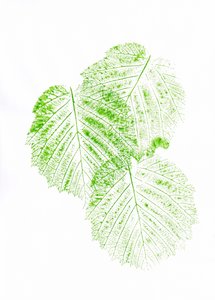 Fresh Green Leaf Prints