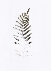 Minimalist Fern Leaf Print