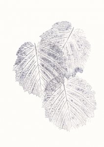 Minimalist Leaf Textures