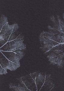 Monochrome Leaf Textures