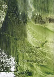 Organic Green Flow