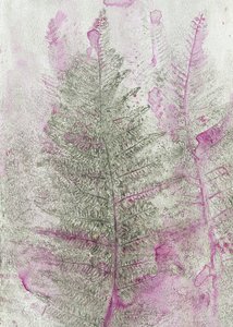Pink Fern Impressions