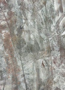Subtle Natural Forms