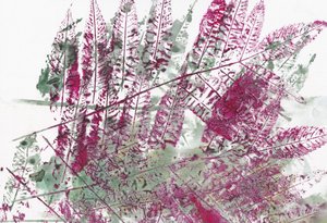 Vibrant Botanical Ferns by Maira Ribena