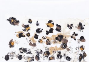 Wild Leopard Spots