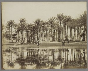 Men with Goats Under Palms by the Water in Bedrechen