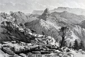 On the march near Dongolo, engraved by James Ferguson, 1868 by Major A.G.F. Hogg