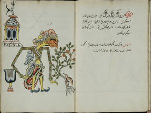 Wukon Jawa, MS 41 p.40, image 20