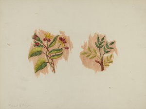 Silk Petticoat Fragment, c. 1939