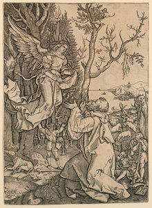 Angel Appearing to Joachim
