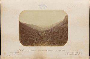 The Valley of Andarahy Seen from the Heights of Boa Vista