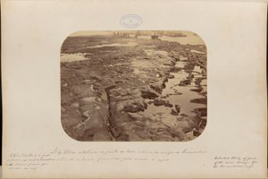 Detailed Study of Part of the Inner Side of the Recife of Pernambuco Showing the Basins Formed by Water Action by Marc Ferrez