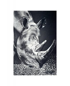 Powerful Rhino Grazing