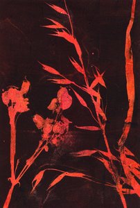 Red Leaves by Marco Campedelli