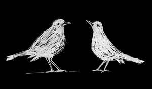 Two white blackbirds by Marco Campedelli