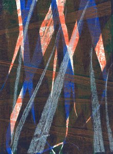 Wild Oats, 2024 by Marco Campedelli