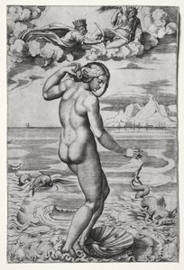The Birth of Venus by Marco Dente