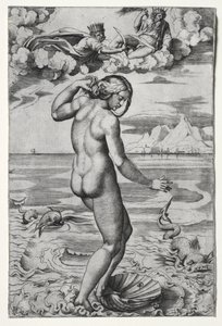 The Birth of Venus, c. 1516 by Marco Dente