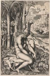 Venus Wounded by a Rose
