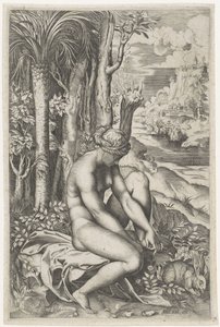 Venus Wounded by the Thorn of a Rose by Marco Dente