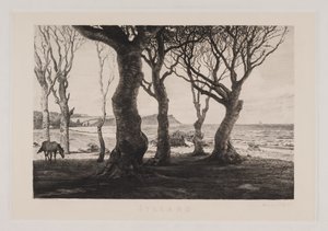 Jutland Landscape by Marcus Bech Fritz